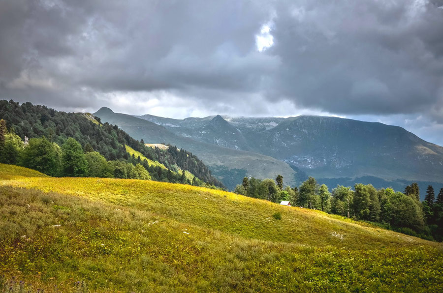 альпийские луга абхазия