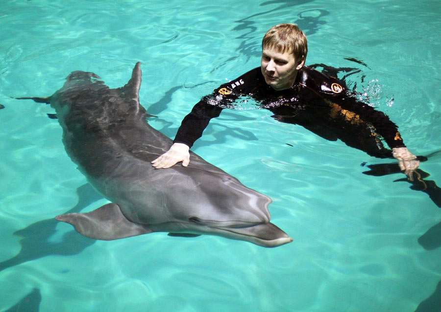 москвариум центр плавания с дельфинами